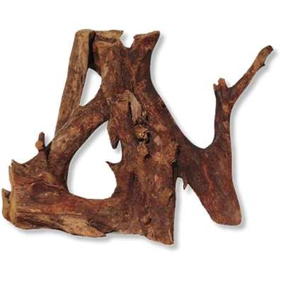 Trærod (Mangrovetræ) XL 34-49 cm